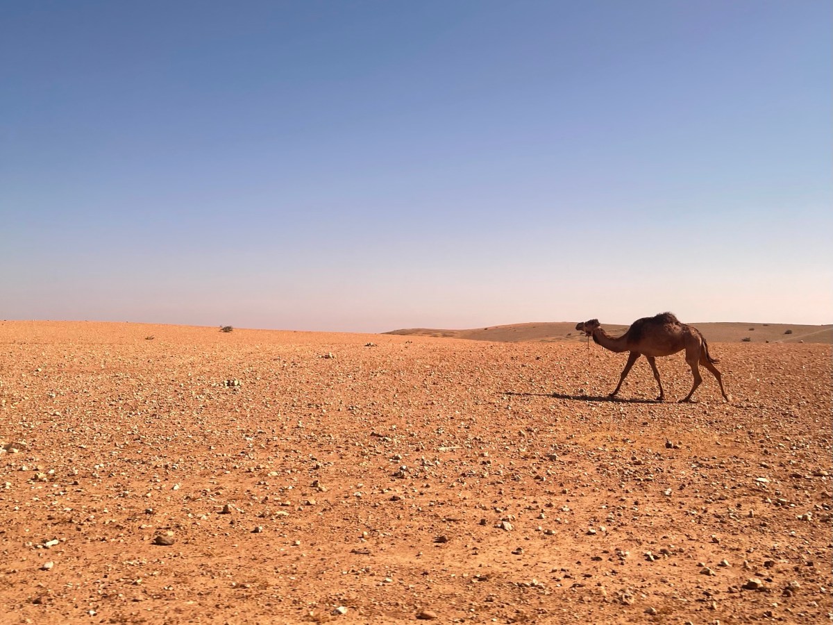 9 magical days in&nbsp;Morocco