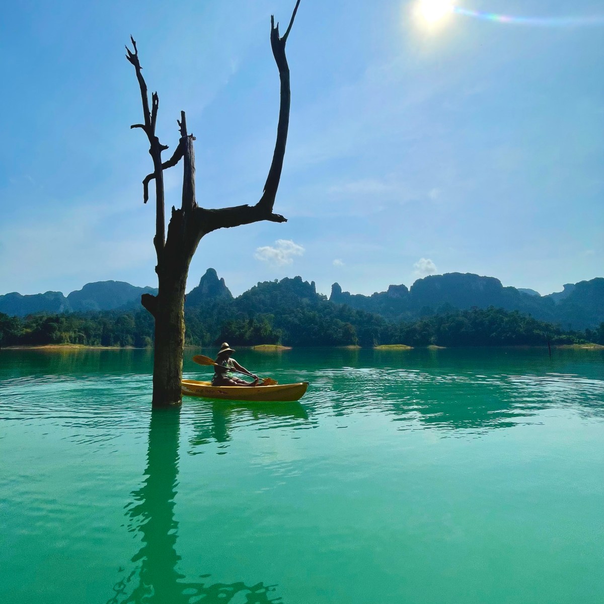 Ripped from the&nbsp;pages…